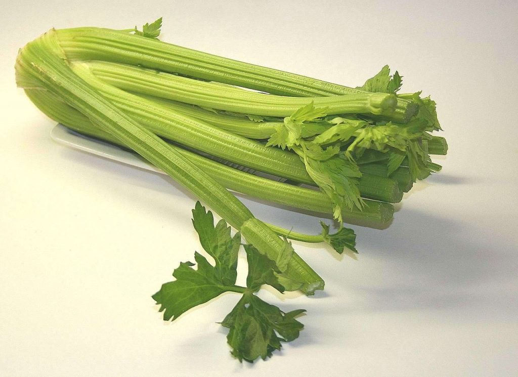 41 Real Health Benefits Of Celery You'll Love it Mr Mind Blowing