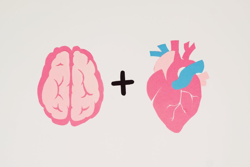 illustration of brain and heart